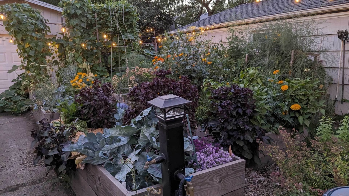 How to Plant the Perfect Kitchen Garden in a Small Space