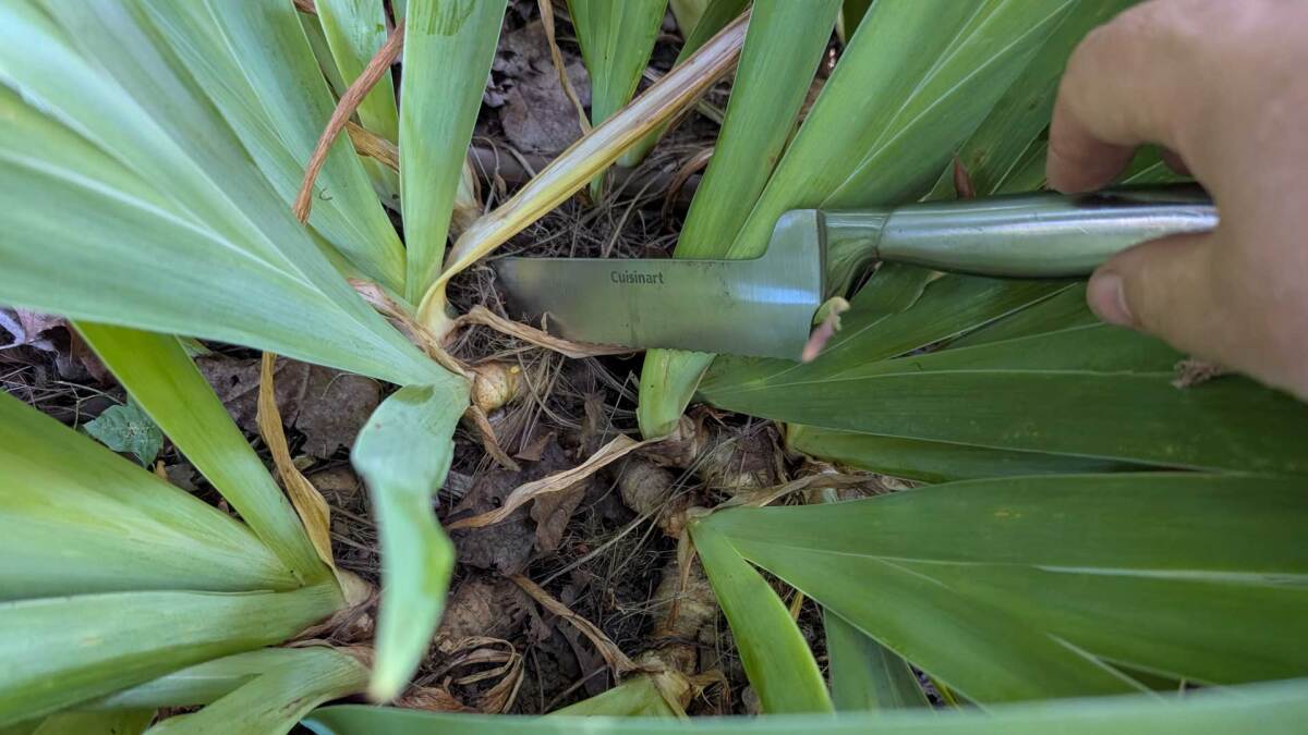 These Nine Household Items Make Great Garden Tools